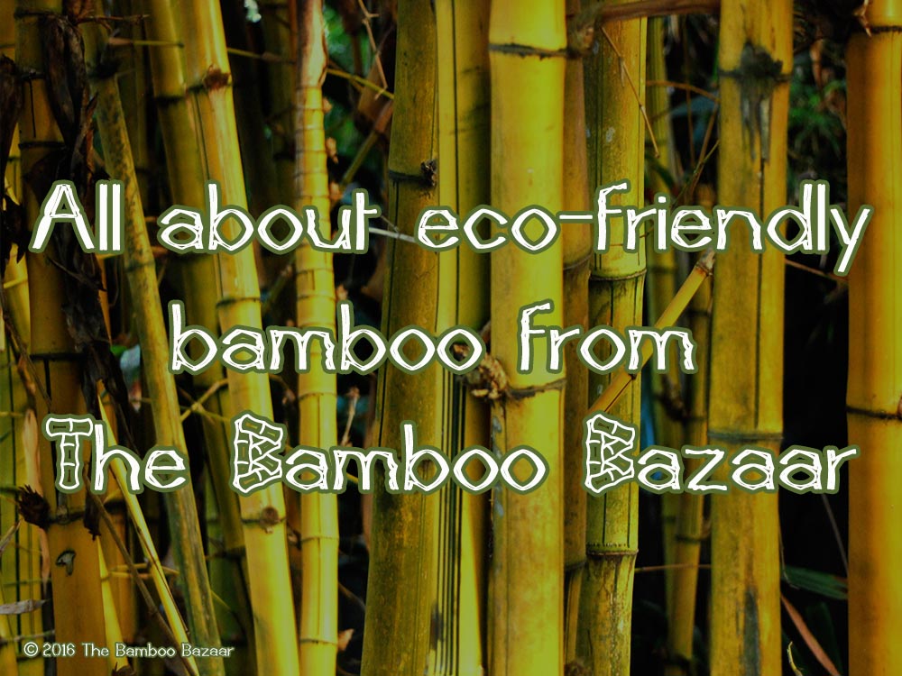 The Bamboo Bazaar - All about eco-friendly bamboo