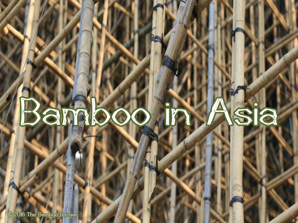 the-bamboo-bazaar-bamboo-in-asia