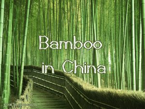Bamboo in Asia
