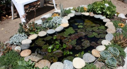 Creating a Perfect Pond in Your Backyard