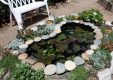 Creating a Perfect Pond in Your Backyard