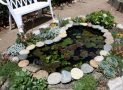 Creating a Perfect Pond in Your Backyard